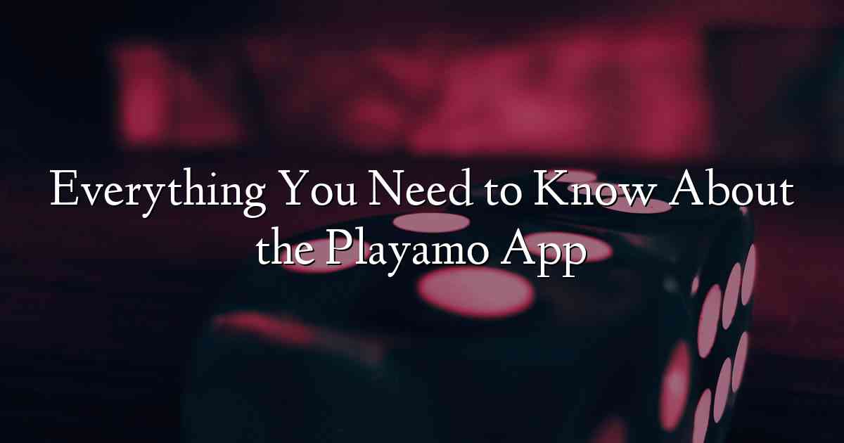 Everything You Need to Know About the Playamo App